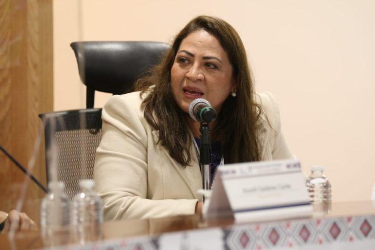 IEEH respetará reforma electoral: González Escalona IEEH respetará reforma electoral: González Escalona