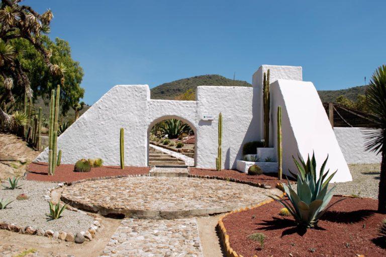 La SEMARNATH protege flora y fauna de Hidalgo