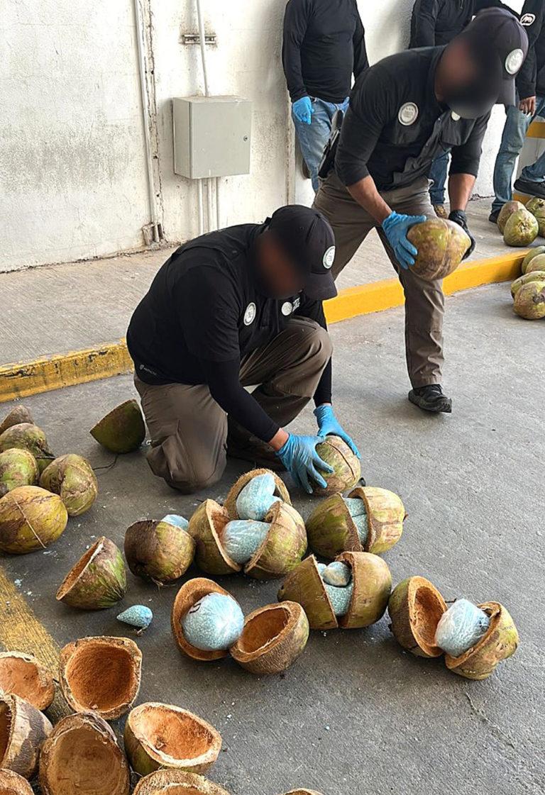 México decomisa 300 kilos de fentanilo en cocos