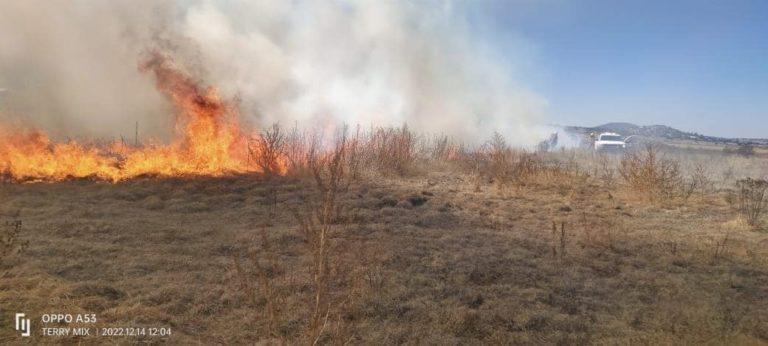 Incendio de pastizales consume más de 15 hectáreas