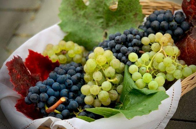 Precio de la uva se dispara previo al brindis de fin de año Precio de la uva se dispara previo al brindis de fin de año