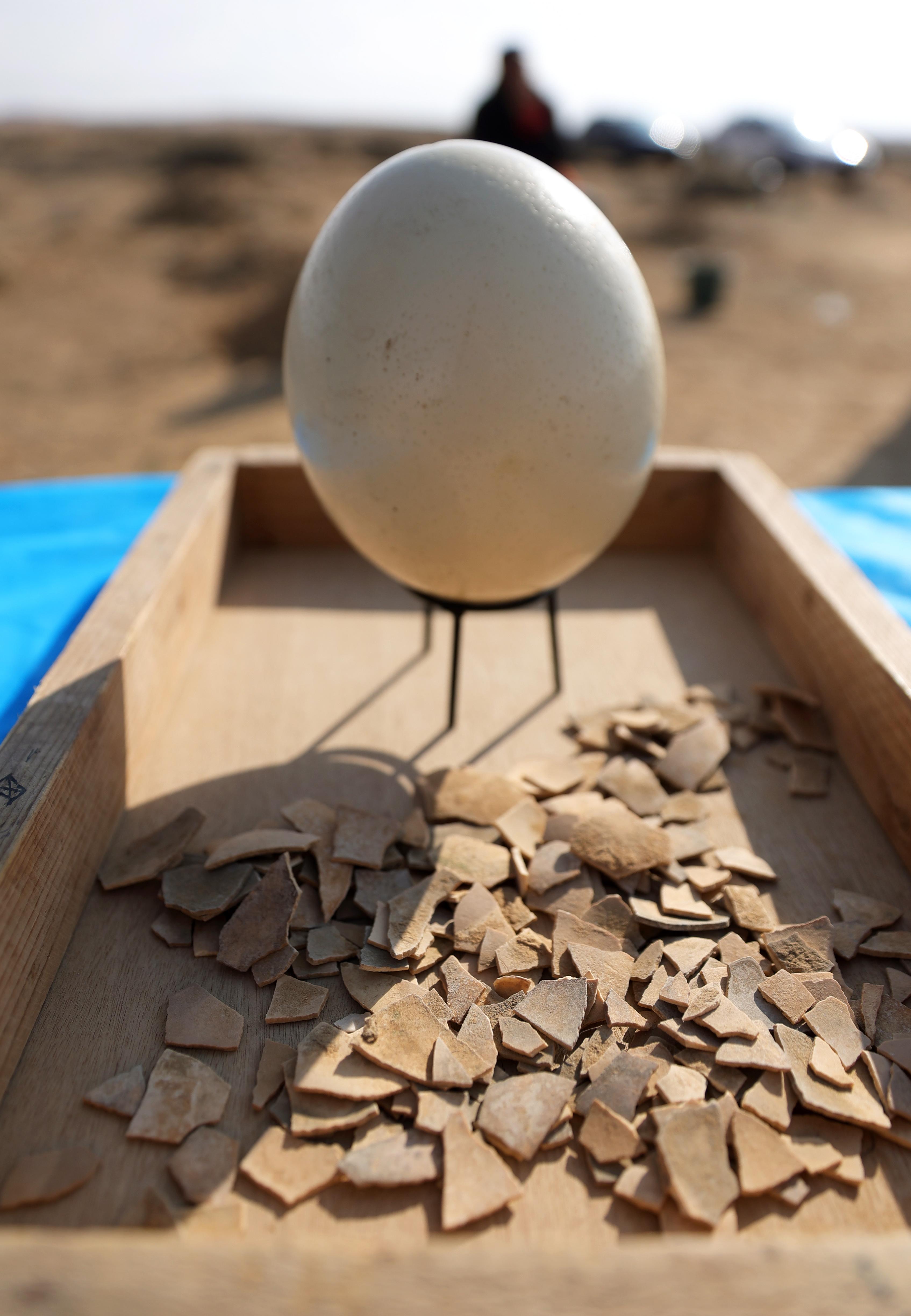 Hallan huevos de avestruz de hace más de 4.000 años en el desierto de Israel