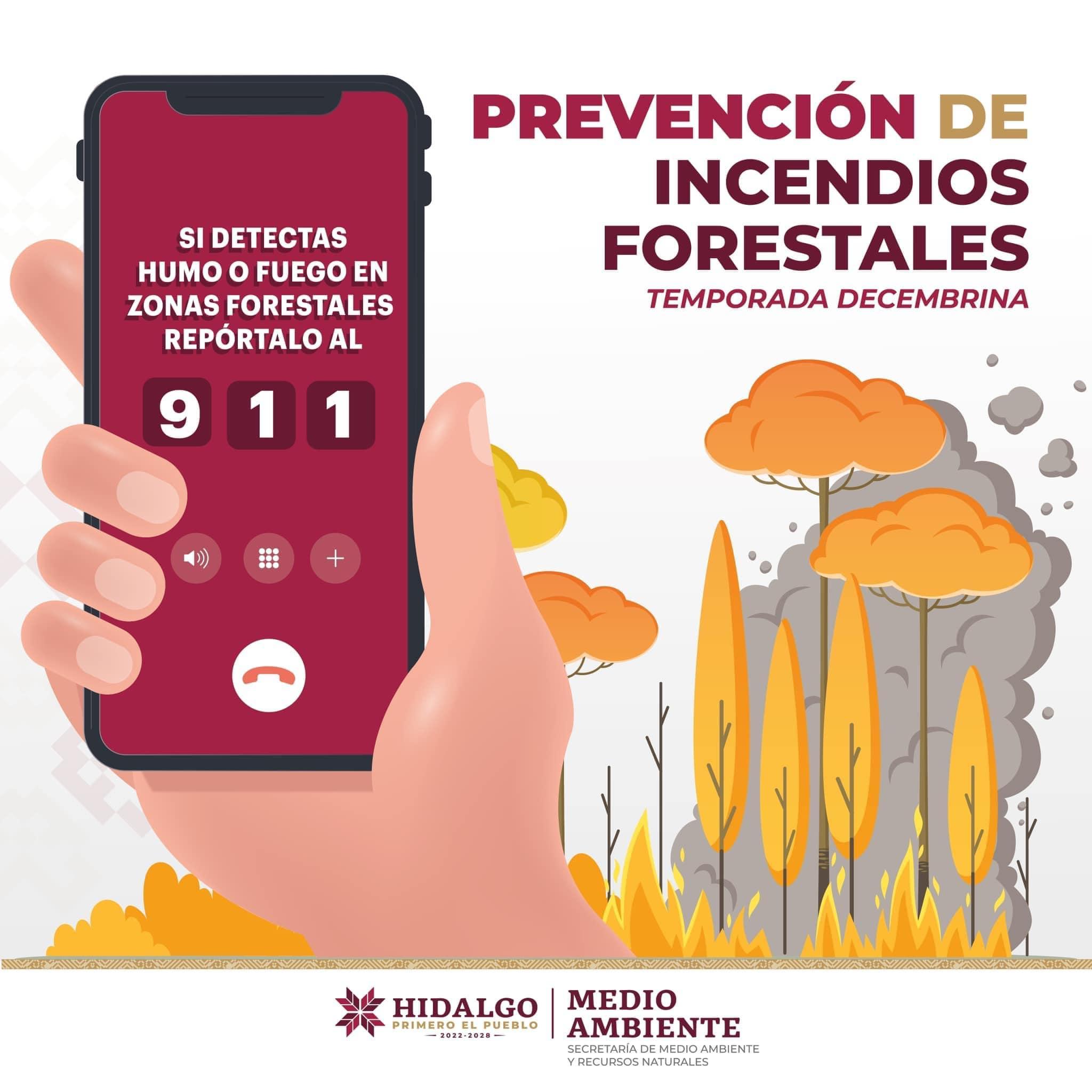 La SEMARNATH busca prevenir los incendios forestales