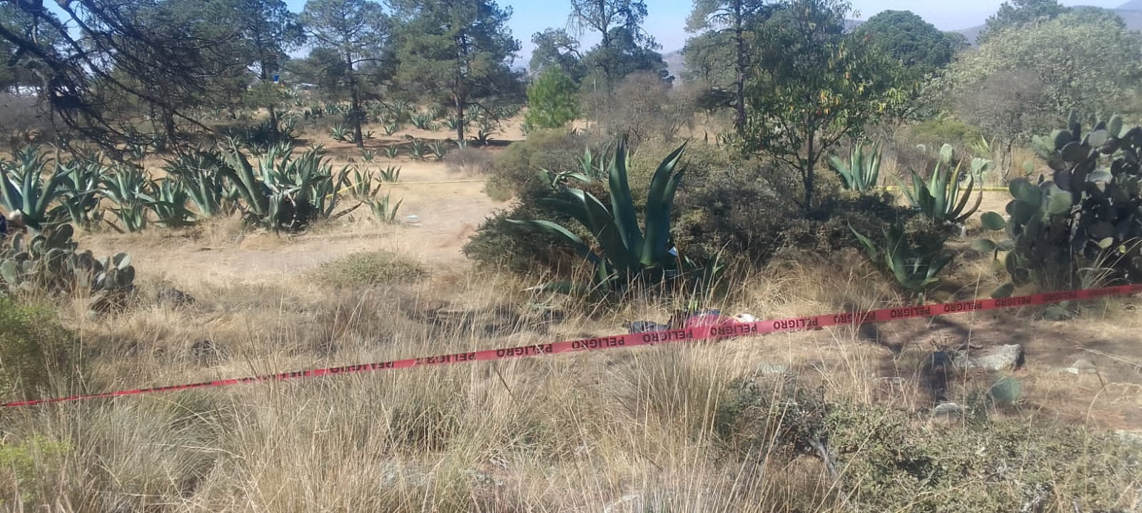 Localizan sin vida a un hombre en Singuilucan