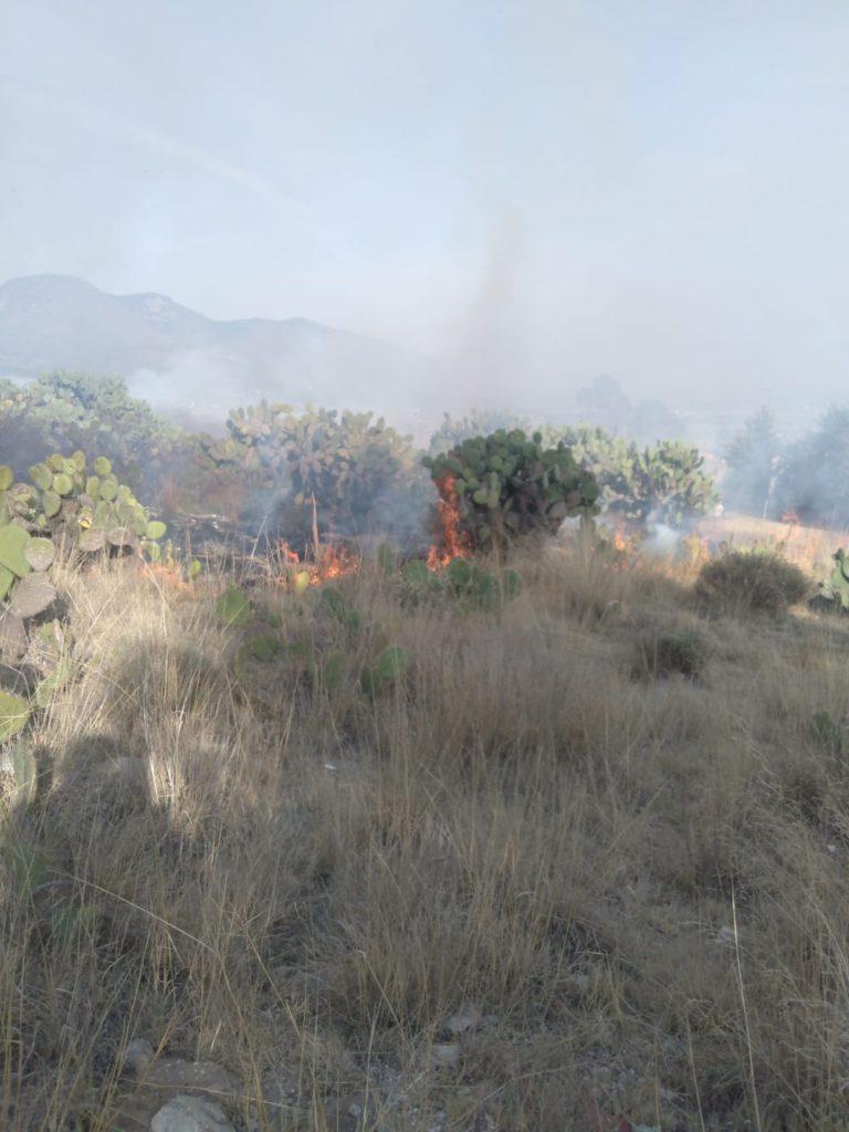 Incendios provocados ocasiona que aumenten la quema de pastizales Incendios provocados ocasiona que aumenten la quema de pastizales