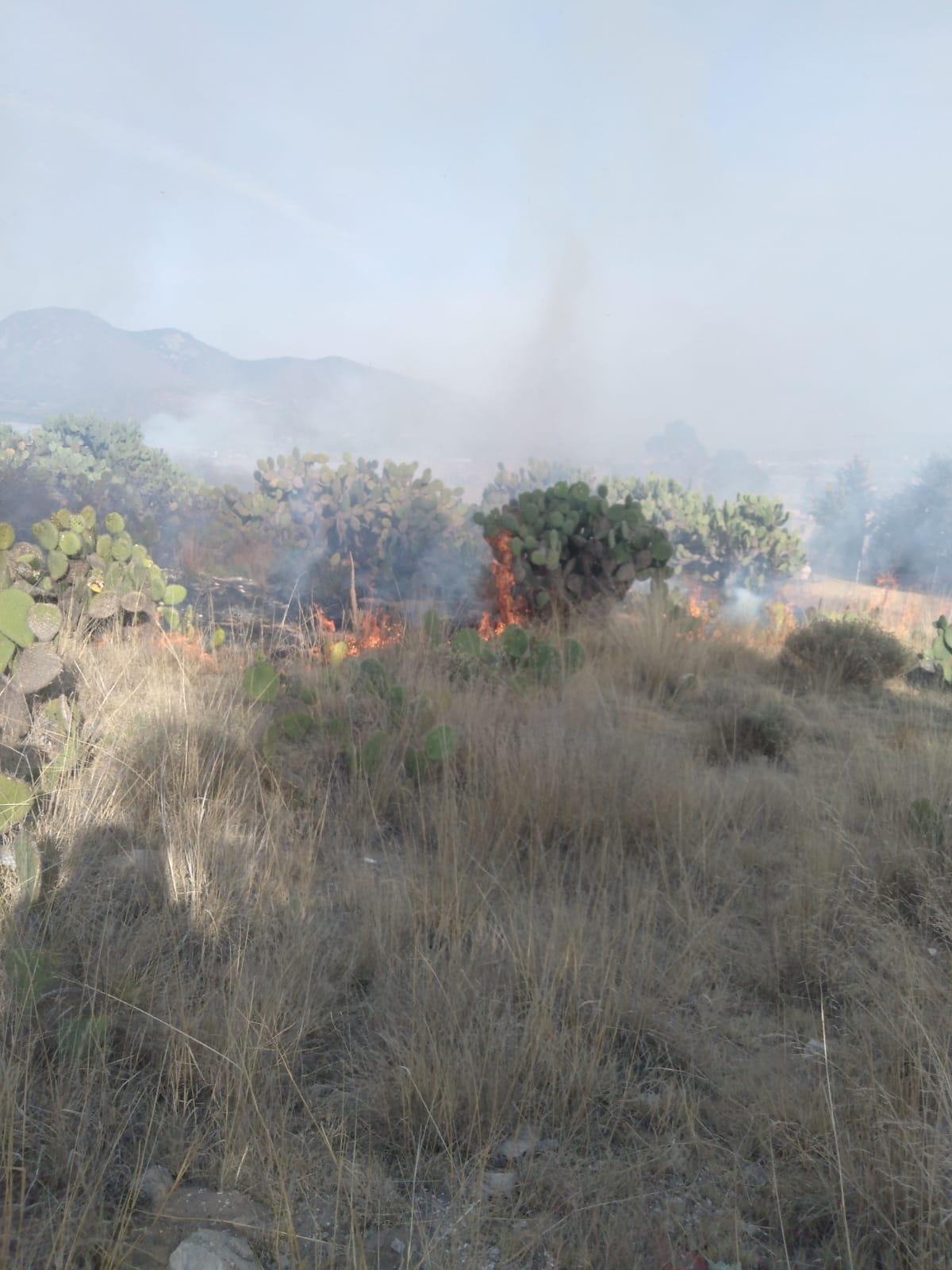 Incendios provocados ocasiona que aumenten la quema de pastizales