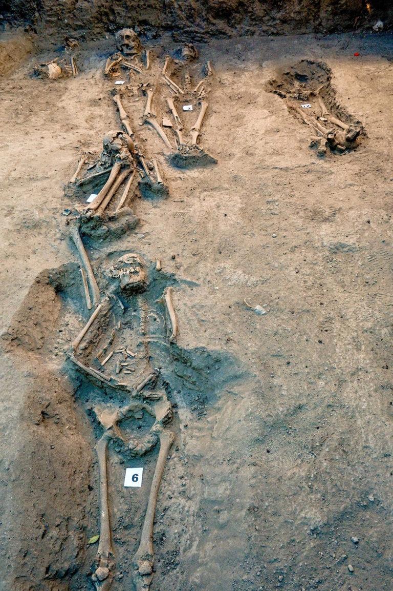 Encuentran cementerio virreinal en bosque urbano de Ciudad de México Encuentran cementerio virreinal en bosque urbano de Ciudad de México