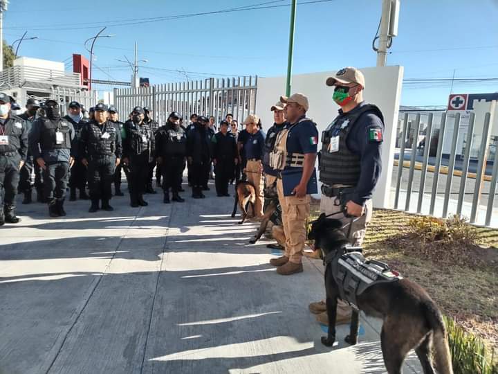 A un año de la unidad K9, certifican a policías caninos A un año de la unidad K9, certifican a policías caninos