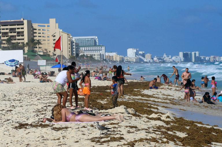 El sargazo en el Caribe mexicano se adelanta El sargazo en el Caribe mexicano se adelanta