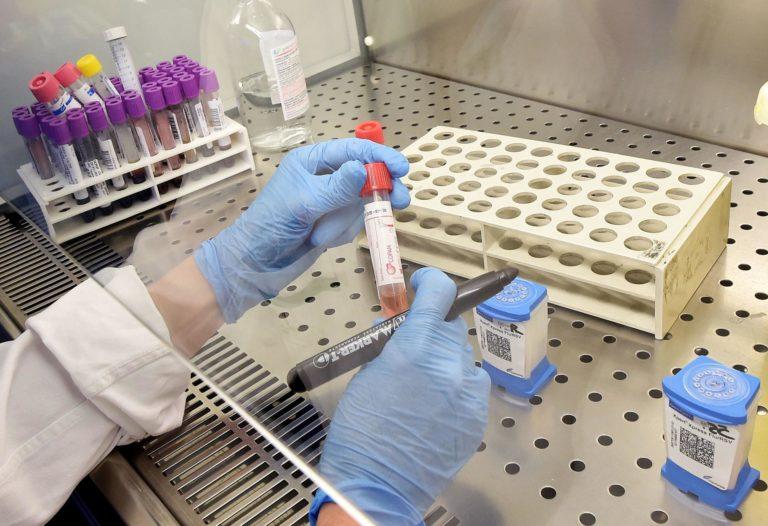<strong>Las voces que relacionan a la Covid con un laboratorio chino</strong> <strong>Las voces que relacionan a la Covid con un laboratorio chino</strong>