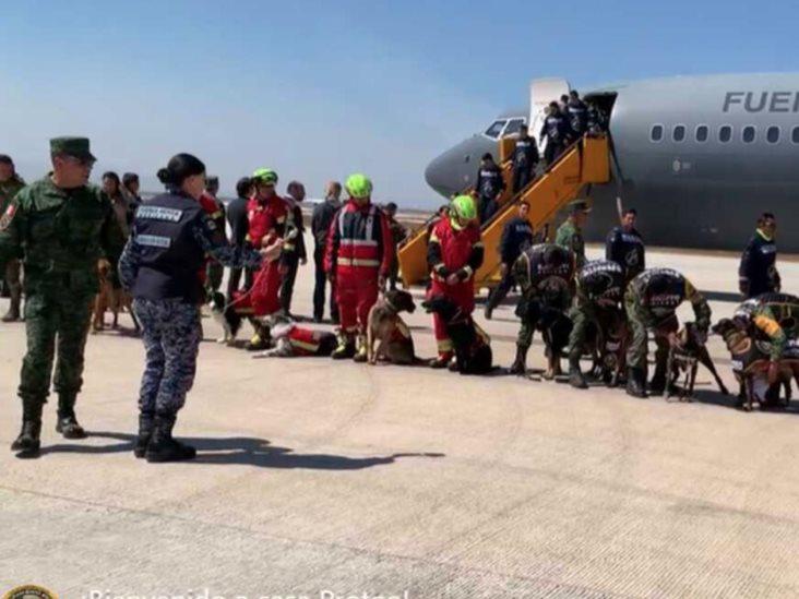 Llegan al AIFA rescatistas y binomios caninos, tras ayuda en Turquía