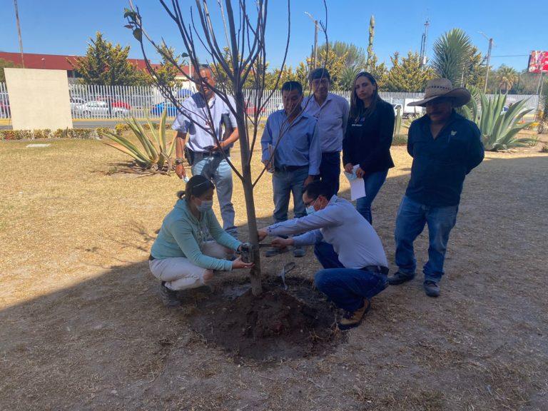 Realizan actividades de reforestación y conservación de tuzas