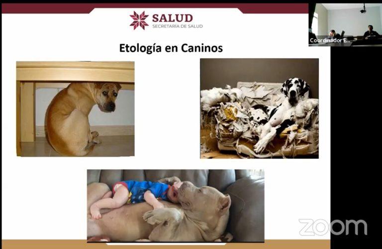 Capacitan a personal de salud en atención a posibles casos de rabia