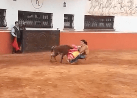 Por hacerle a la torera, senadora de Morena es embestida Por hacerle a la torera, senadora de Morena es embestida