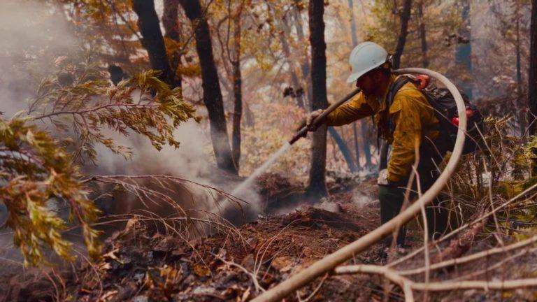 En una semana, Hidalgo registró tres incendios forestales