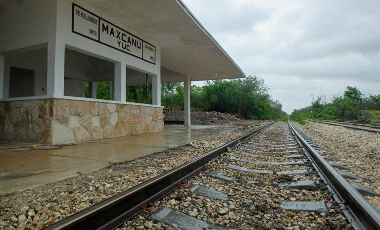 Reúnen en un libro los riesgos del Tren Maya en la Península Reúnen en un libro los riesgos del Tren Maya en la Península