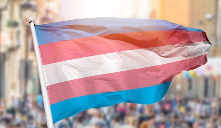 ¿”Borrado de mujeres”? trans y feministas, un debate por la identidad ¿”Borrado de mujeres”? trans y feministas, un debate por la identidad