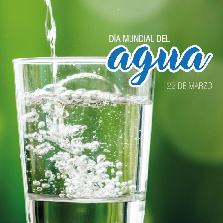 “Comemos” más agua de la que bebemos “Comemos” más agua de la que bebemos