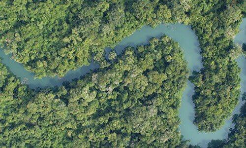 AMLO anuncia más seguridad en Selva Lacandona por pistas clandestinas AMLO anuncia más seguridad en Selva Lacandona por pistas clandestinas