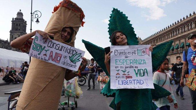 ¿Qué significa el 4/20 y por qué se volvió referente de marihuana? ¿Qué significa el 4/20 y por qué se volvió referente de marihuana?