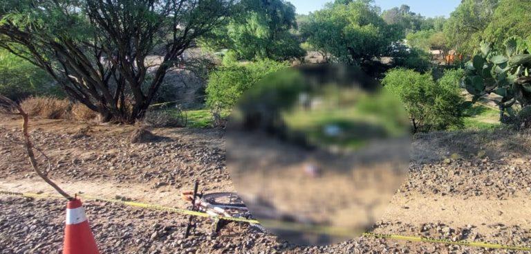Aparece cadáver de un hombre y los perros lo estaban devorando Aparece cadáver de un hombre y los perros lo estaban devorando