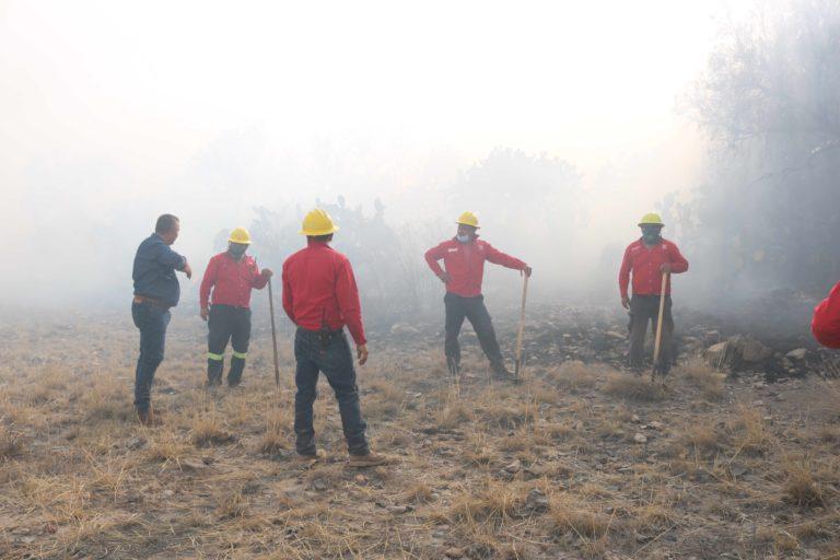 Se han reportado 34 incendios forestales en la entidad Se han reportado 34 incendios forestales en la entidad