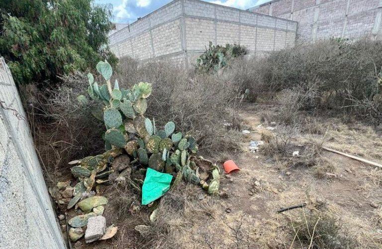 Localizan y aseguran toma clandestina con manguera oculta en la maleza