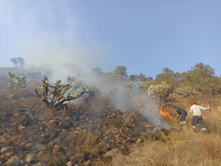 Incendio forestal ha consumido más de 80 hectáreas del cerro del Tepozán 