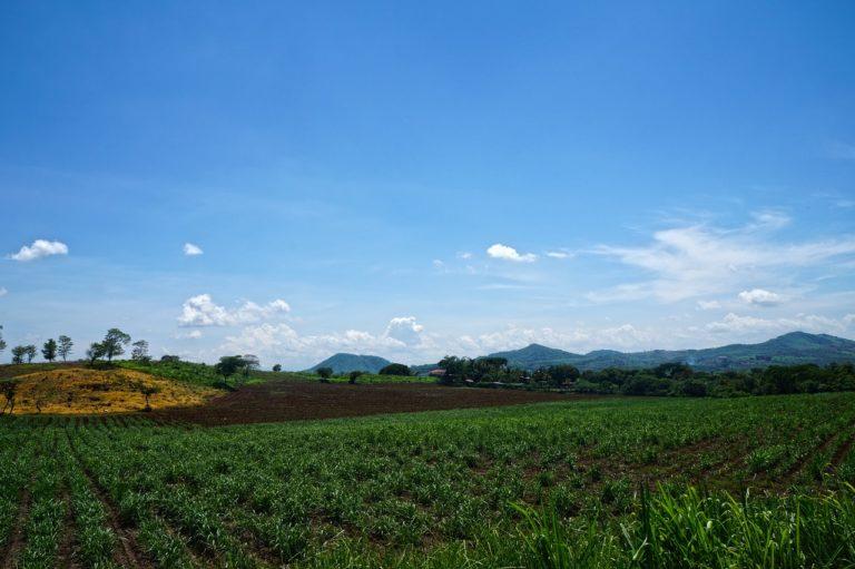 Campesinos exigen destitución del delegado de la Conagua