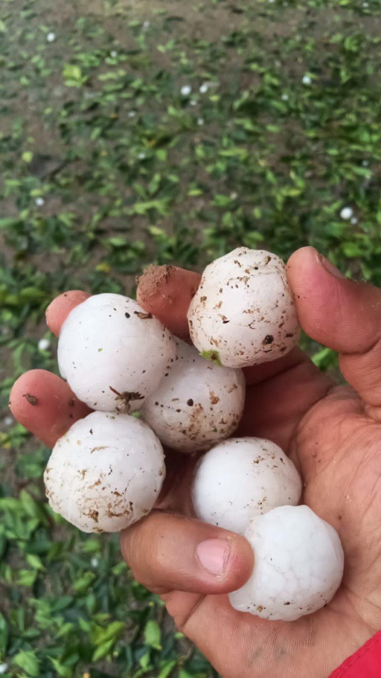 Granizo provoca daños en varias comunidades Granizo provoca daños en varias comunidades