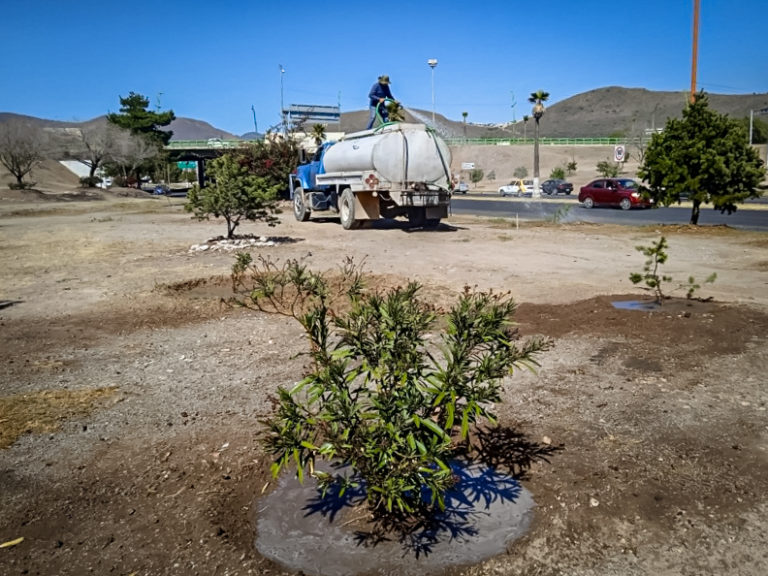 Rescatan y preservan áreas verdes en Pachuca y Mineral de la Reforma