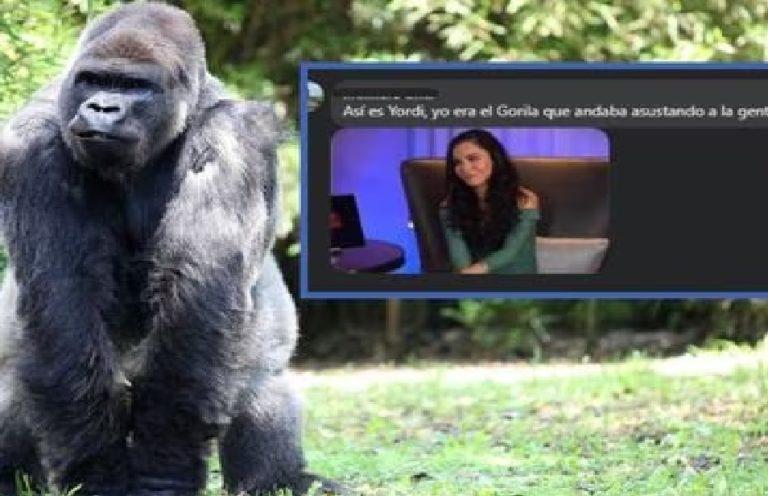 “No hay ninguna evidencia sobre la aparición de un gorila en Villa Tezontepec” “No hay ninguna evidencia sobre la aparición de un gorila en Villa Tezontepec”