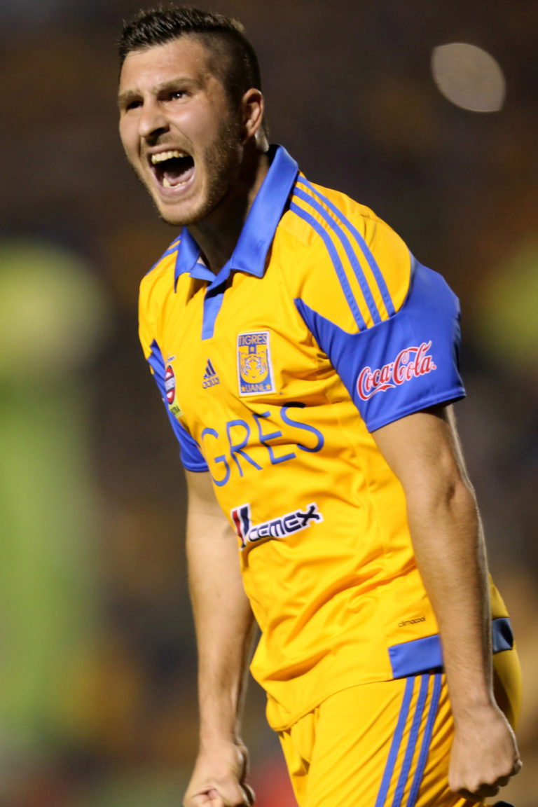 Tigres conquista el Campeón de Campeones Tigres conquista el Campeón de Campeones