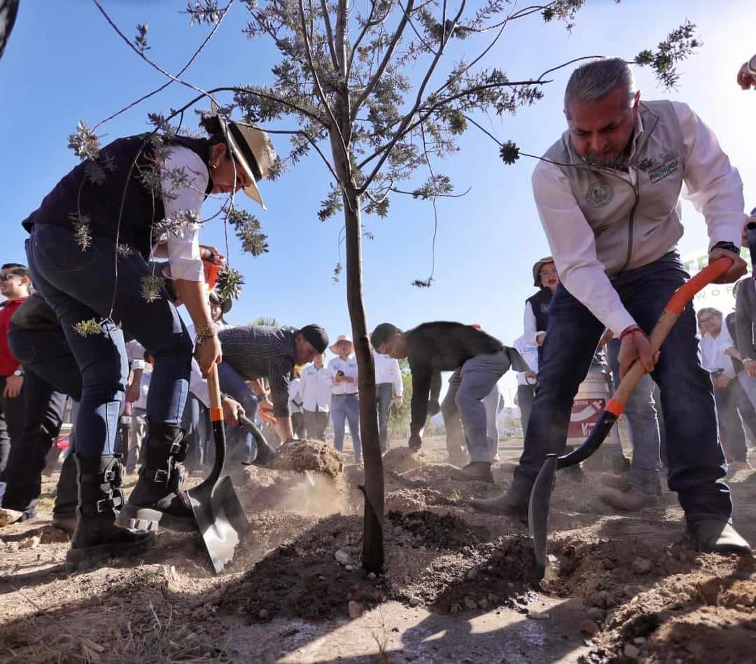 Plantaron 100 ejemplares por Día Mundial del Árbol