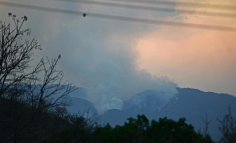 El 84% de los incendios en Nicaragua se dan en territorios indígenas y áreas protegidas El 84% de los incendios en Nicaragua se dan en territorios indígenas y áreas protegidas