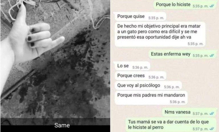 Estudiante mata con extrema crueldad a cachorro en Huauchinango Estudiante mata con extrema crueldad a cachorro en Huauchinango