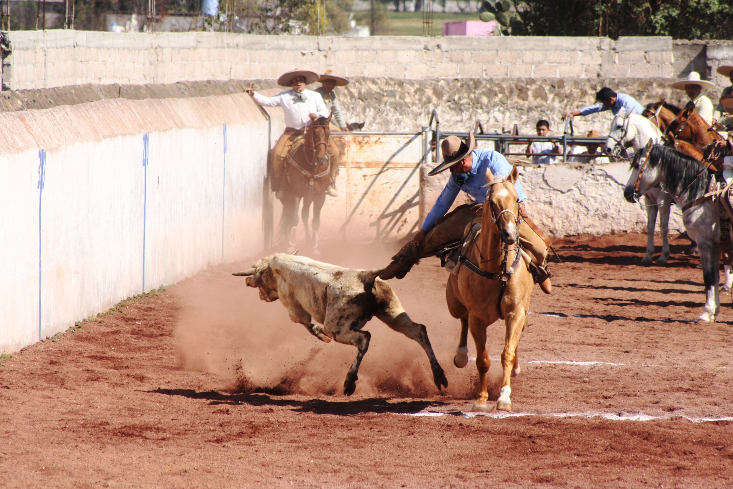 Se unen charros en evento con causa, recaudar fondos para un joven que requiere una operación