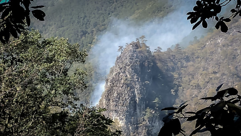 10 viviendas evacuadas por incendio forestal