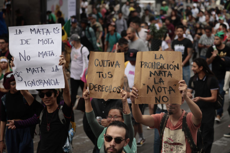 México desaprovecha el potencial de la cannabis a dos años del histórico fallo del Supremo México desaprovecha el potencial de la cannabis a dos años del histórico fallo del Supremo