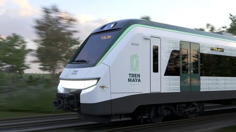 Decreta gobierno mega expropiación de 165 hectáreas para Tren Maya Decreta gobierno mega expropiación de 165 hectáreas para Tren Maya
