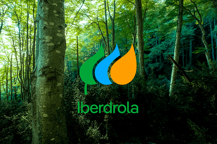 Ya se firmó compra de plantas eléctricas a Iberdrola por 6mmdd Ya se firmó compra de plantas eléctricas a Iberdrola por 6mmdd