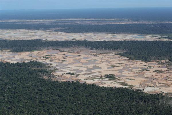 Perú inicia “plan de arranque” para combatir la deforestación en la Amazonía Perú inicia “plan de arranque” para combatir la deforestación en la Amazonía