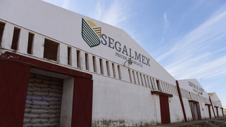 Van 26 detenidos y se investigan 100 denuncias por caso Segalmex: FGR Van 26 detenidos y se investigan 100 denuncias por caso Segalmex: FGR