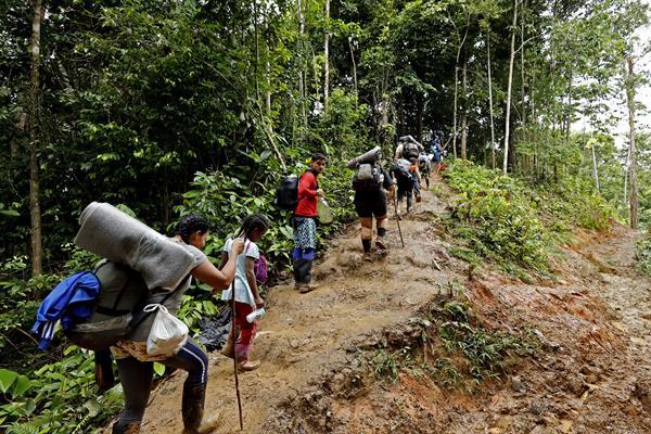 Los migrantes que han cruzado el Darién en lo que va de año superan el récord de todo 2022