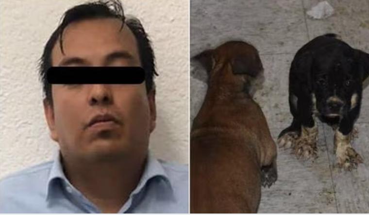 Investigan por maltrato animal a padre que agredió a maestra de kínder en Cuautitlán Izcalli Investigan por maltrato animal a padre que agredió a maestra de kínder en Cuautitlán Izcalli