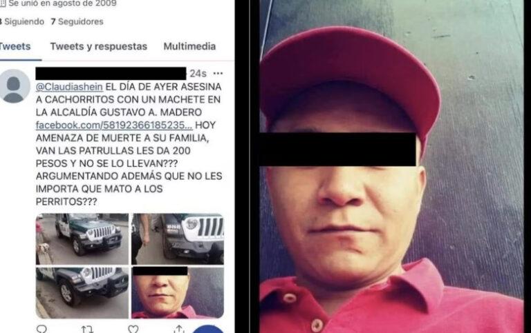 Sentencia de cárcel y multa contra asesino de cachorros