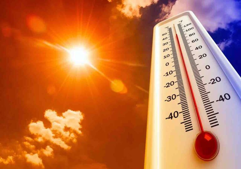 Más de 100 migrantes han muerto por ola de calor en la frontera Más de 100 migrantes han muerto por ola de calor en la frontera