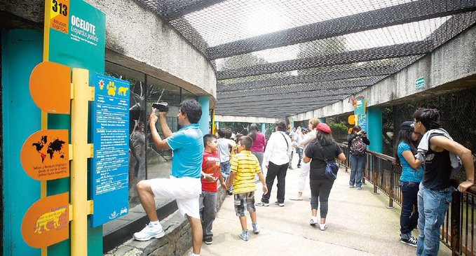 Zoológico de Chapultepec celebrará sus 100 años con desfile cultural