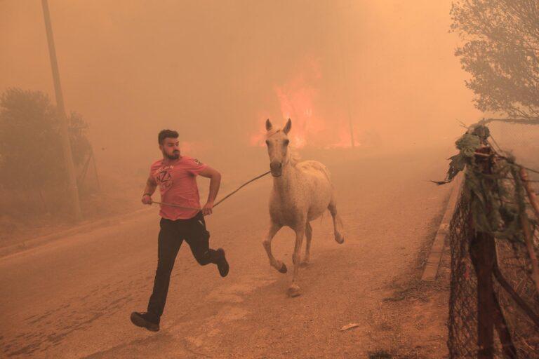 Grecia confirma que 18 inmigrantes han muerto carbonizados cerca de la frontera turca Grecia confirma que 18 inmigrantes han muerto carbonizados cerca de la frontera turca