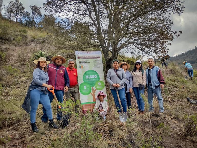 Concluye jornada de reforestación en Geoparque Comarca Minera  